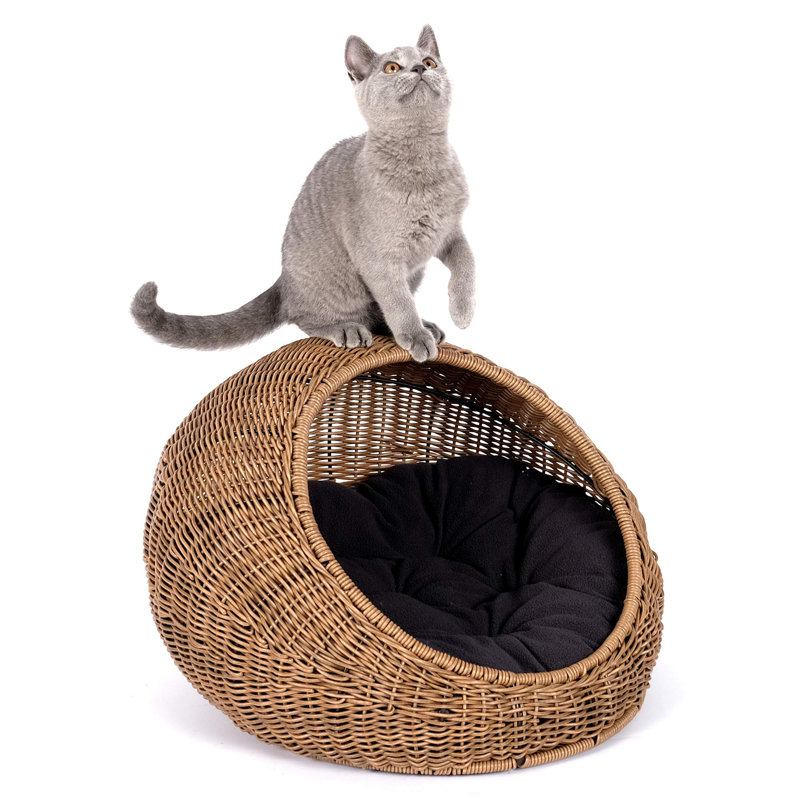 Cat rattan bed hotsell